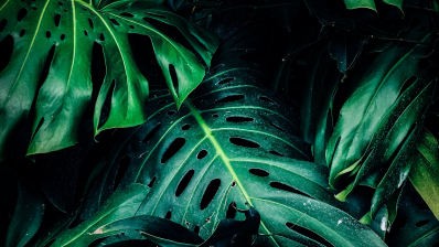 Test Blog Article 02