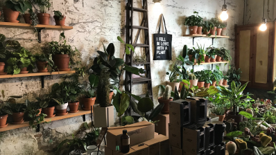 Test Blog Article 03